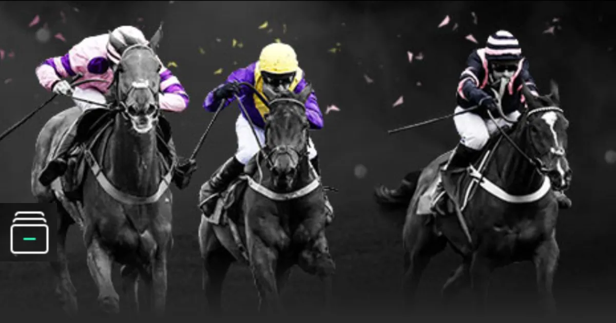 中超积分榜,海港,并列榜首,太阳城,太阳城娱乐,太阳城app,太阳城赌场