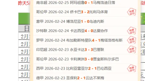 新喀里多尼亚世界杯冲刺：FIFA第152位，市场价值25万欧，不敌新西兰千分之一